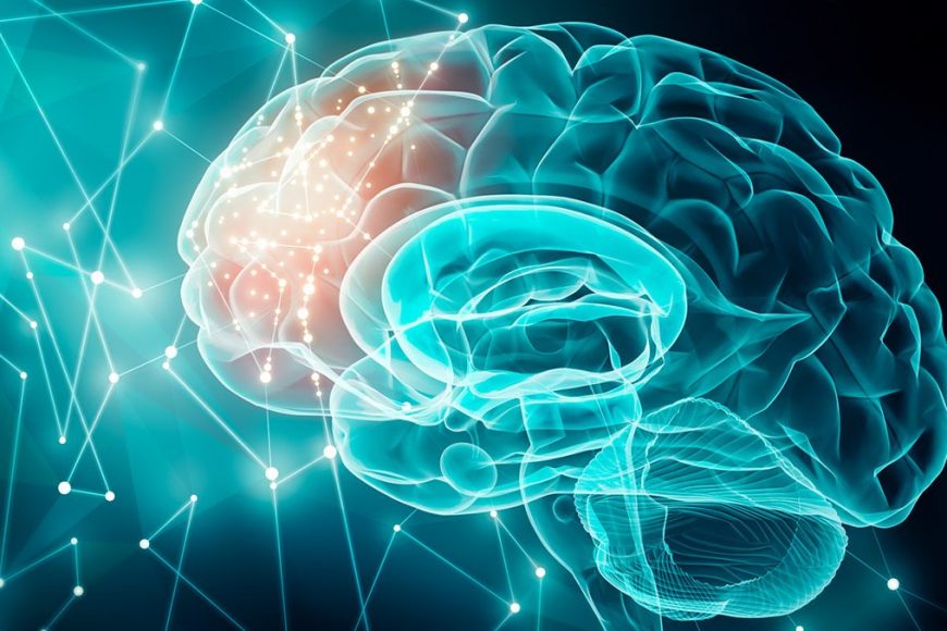 Curso de Investigación en Neurociencias reunirá a 29 ponentes internacionales