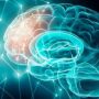 Curso de Investigación en Neurociencias reunirá a 29 ponentes internacionales