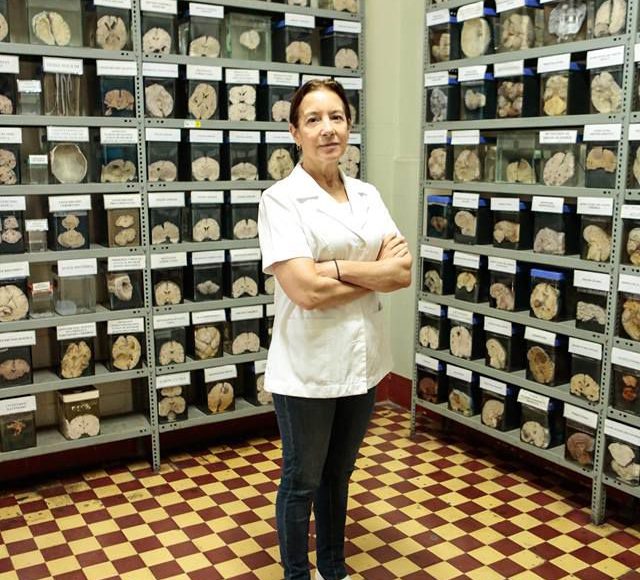 Museo del Cerebro de aniversario
