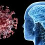 Similitudes entre el COVID-19 y la enfermedad de Alzheimer