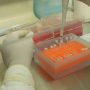 Único centro de investigación en Neurogenética del Perú presentó avances del 2014
