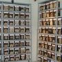 Museo del Cerebro reabrió sus puertas para visitas guiadas