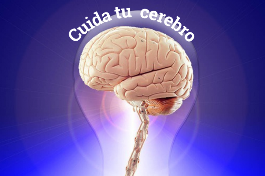 Reflexiones en el Día Mundial del Cerebro