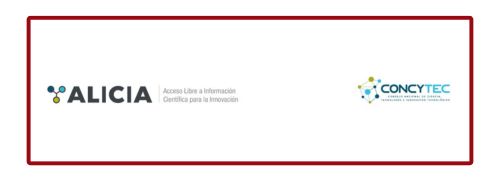 ALICIA CONCYTEC OK