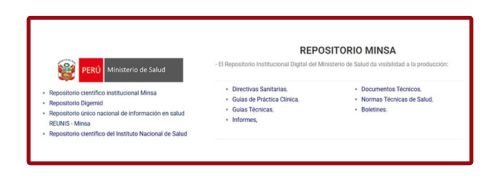 REPOSITORIO MINSA