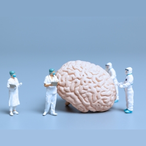 300 x 300 (1) 300 x 300 (1)