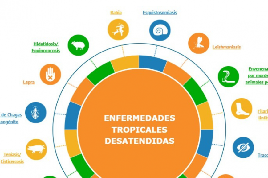 Enfermedades tropicales desatendidas y la afectación del sistema nervioso